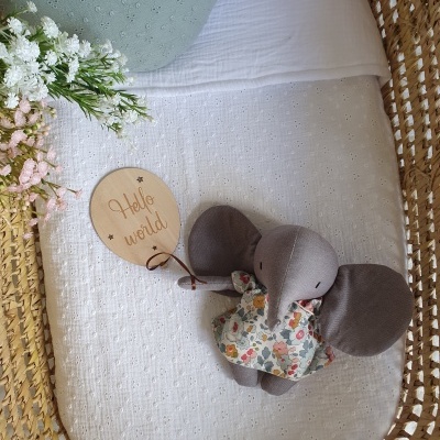 Placas madeira balões