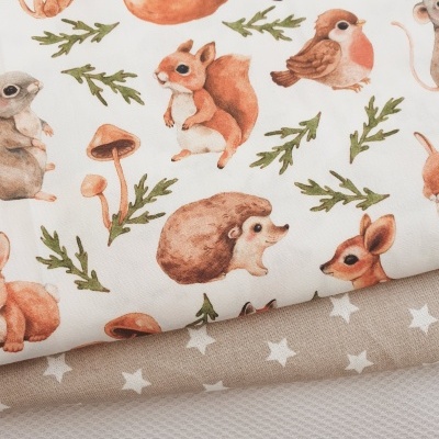 Pack animais bosque querido 2