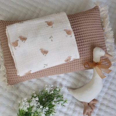 Musselina pintainhos