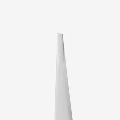 Pinça para Sobrancelhas EXPERT 10 TYPE 4 (Inclinada)