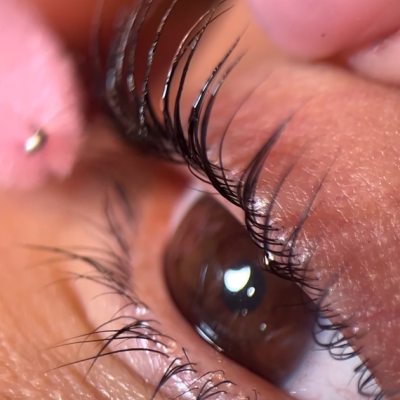 Pink Flash Lash Lift Panda Pads – Moldes de Silicone Premium