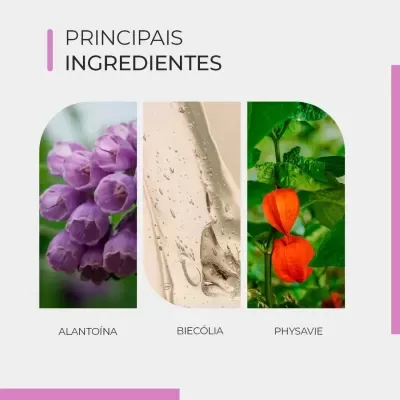 Principais ingredientes com imagens de alantoína, biecólia e physavie