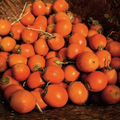 Kit 4 Sabonetes Cremosos e Esfoliantes Tucumã - Natura Ekos