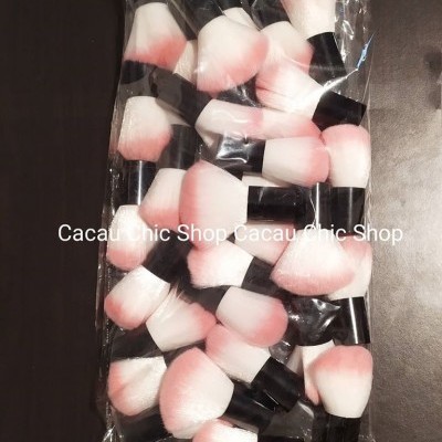 Pincel Para Tirar o Pó