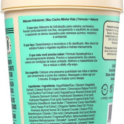 Meu Cacho Minha Vida Máscara Hidratante 450g Lola Cosmetics