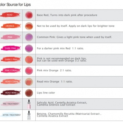 🌸 Kit Kissum BB Lips