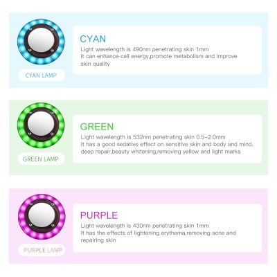 Ultrasom Portátil Cavitação 8 em 1 Facial e Corporal