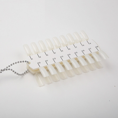 Mostruário Palete 36 cores