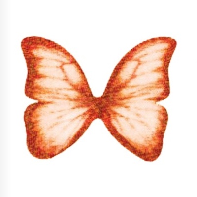 Asa de borboleta laranja e branca com textura suave