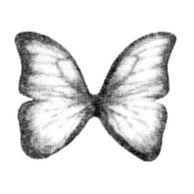 Borboleta a preto e branco com texturas nas asas