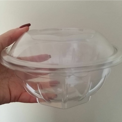 E1005-Pote descartável com tampa - 500ML- 10 UNIDADES