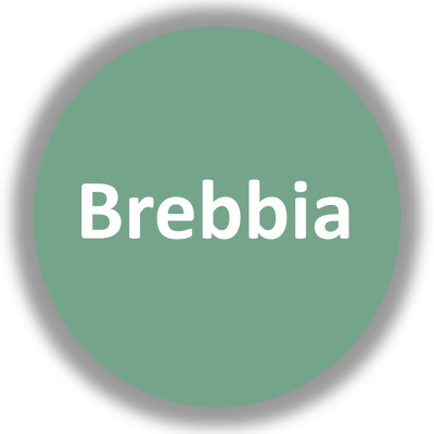 Círculo verde com a palavra Brabbia escrita a branco