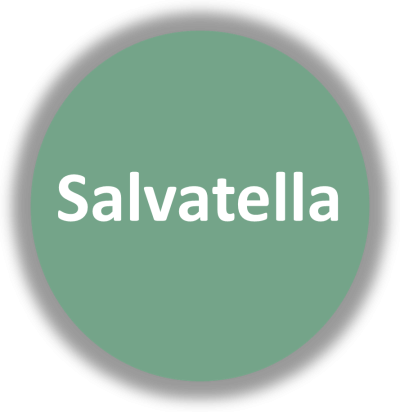 Logotipo da Salvatella em círculo verde