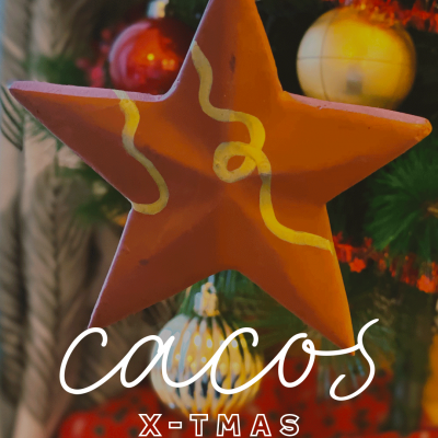 Estrela de Natal Solidária