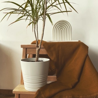 Vela de Soja Happiness