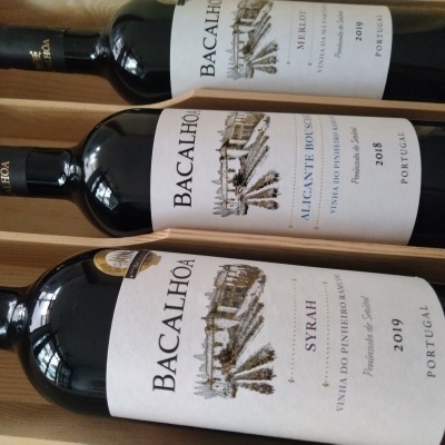 Pack Especial - Bacalhoa