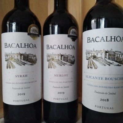 Pack Especial - Bacalhoa