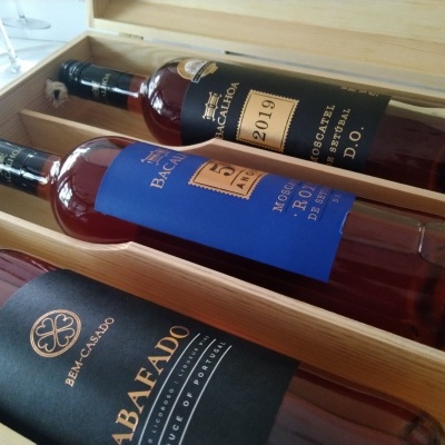 Pack  Moscatel & Abafado