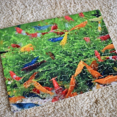 Puzzle Personalizado