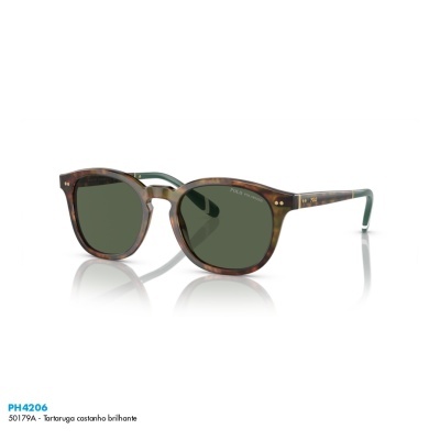 Óculos de sol Polo Ralph Lauren PH4206