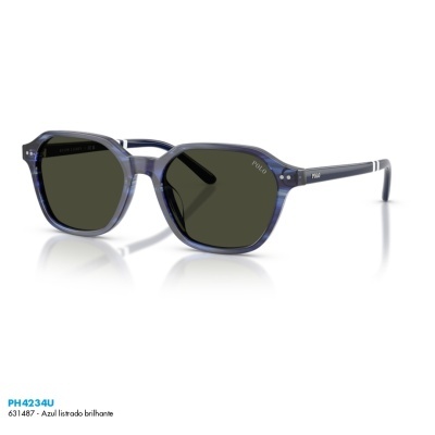 Óculos de sol Polo Ralph Lauren PH4234U