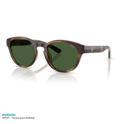 Óculos de sol Polo Ralph Lauren PH4233U