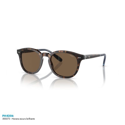 Óculos de sol Polo Ralph Lauren PH4206