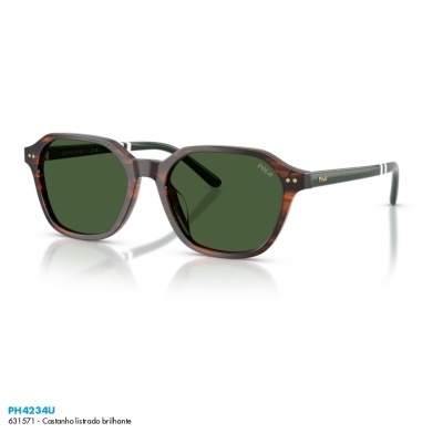 Óculos de sol Polo Ralph Lauren PH4234U