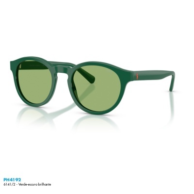 Óculos de sol Polo Ralph Lauren PH4192 Óculos de sol Polo Ralph Lauren PH4192