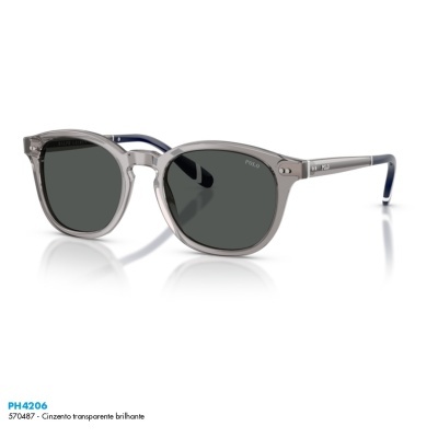 Óculos de sol Polo Ralph Lauren PH4206