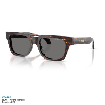 Óculos de sol Versace VE4486