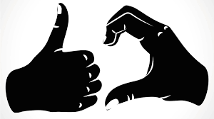 FRIENDZONE FRIENDZONE