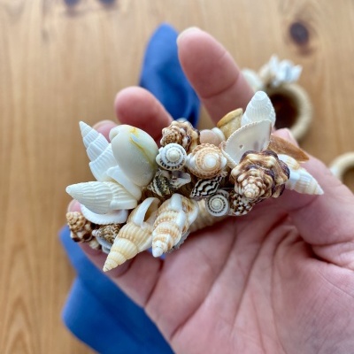 Porta&#x20;guardanapo&#x20;b&#x00FA;zios&#x20;e&#x20;conchas