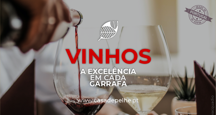 Vinhos: a excelência em cada garrafa! Vinhos: a excelência em cada garrafa!