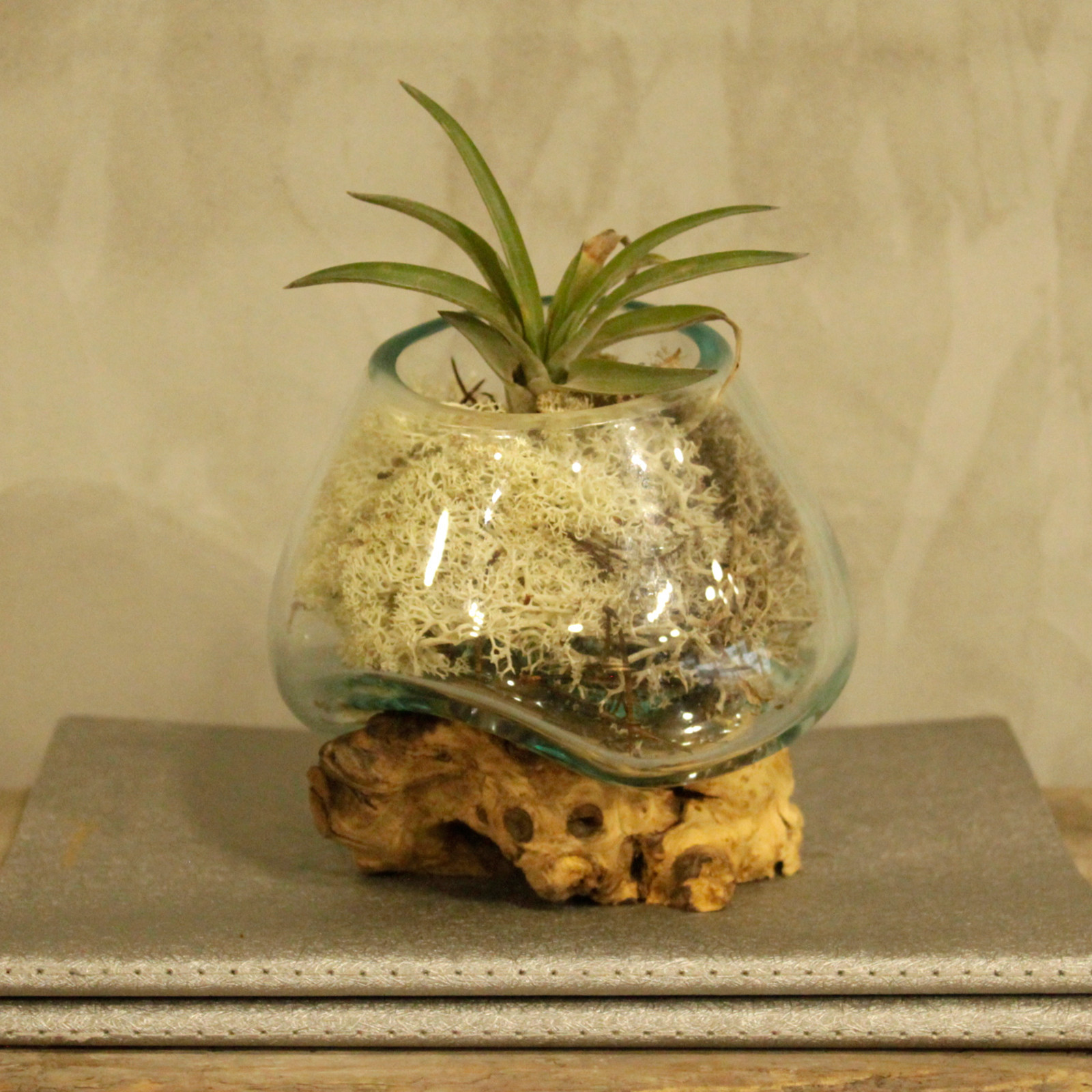 Madeira Gamal Jarra Grande