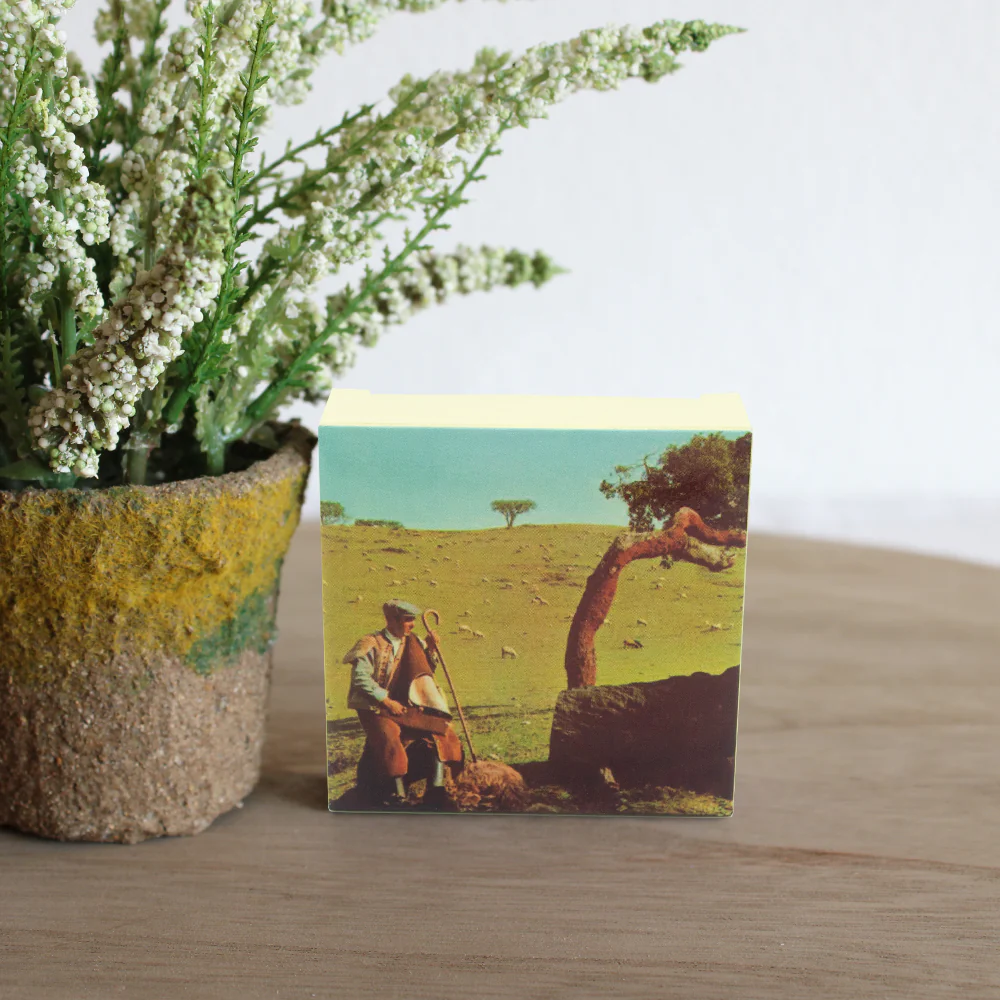 Viver Portugal Património