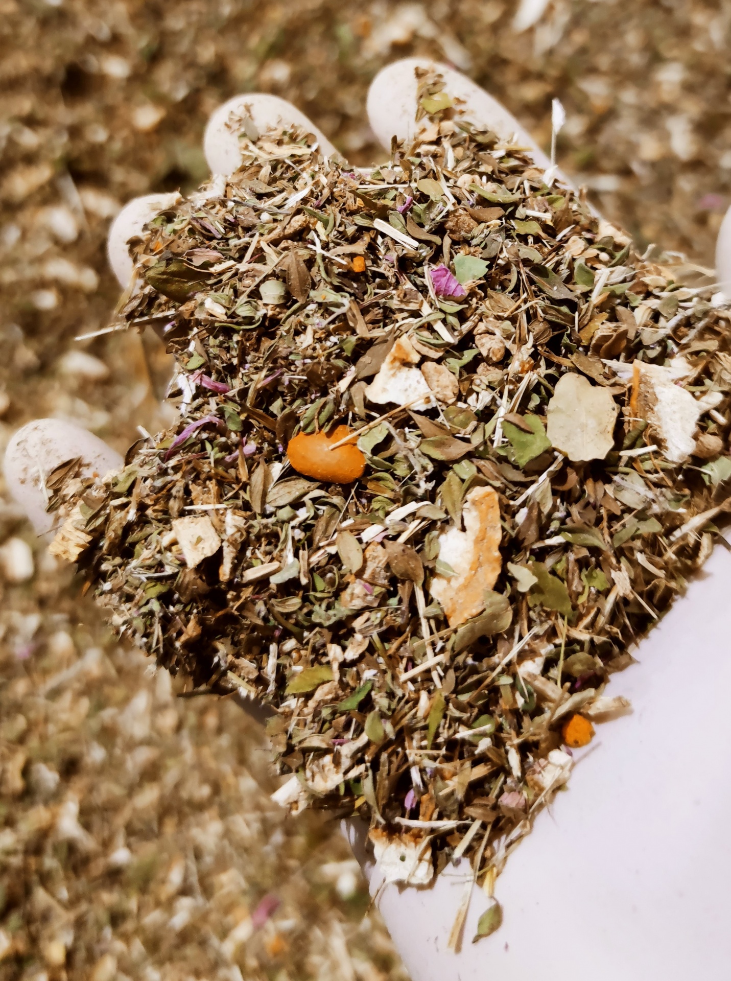 BLESS YOU by "Senasaudáveis"