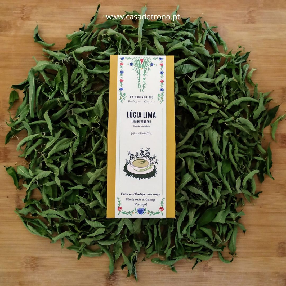 Folhas - Lúcia Lima