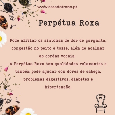 Flores - Perpétua Roxa