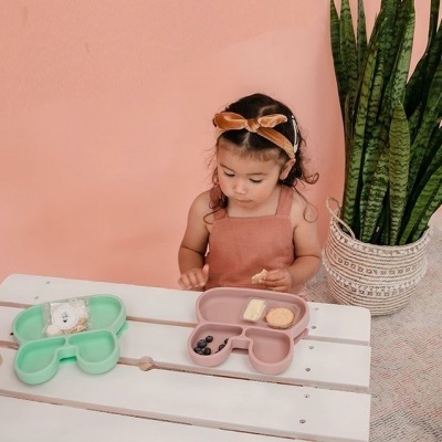 PRATO COM VENTOSA | COELHO