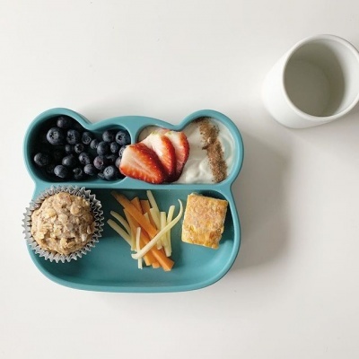 PRATO COM VENTOSA | URSO