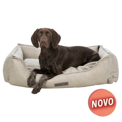 Cama bege para cão com cão castanho deitado e selo NOVO