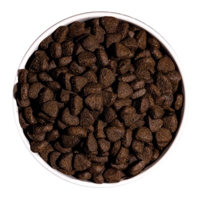 tigela branca com ração seca castanho escuro