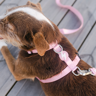 BACK HARNESS SOLID BABY PINK