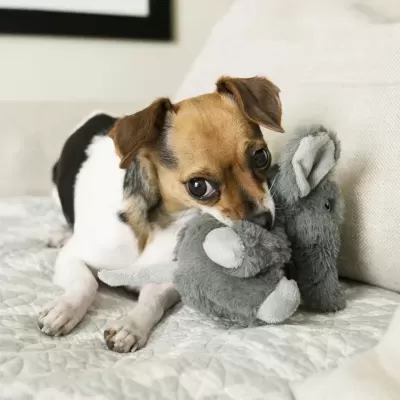 KONG Comfort Kiddos Elephant