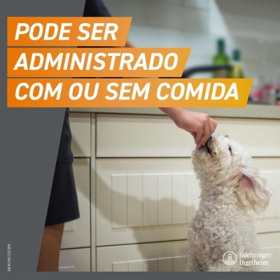 FRONTPRO Comprimido mastigável contra pulgas e carraças para cães de 2 a 4kg FRONTPRO Comprimido mastigável contra pulgas e carraças para cães de 2 a 4kg