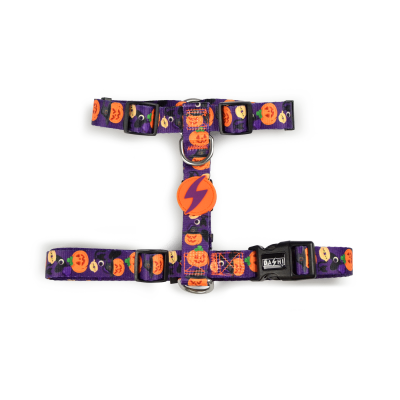 BACK HARNESS PUMPKIN