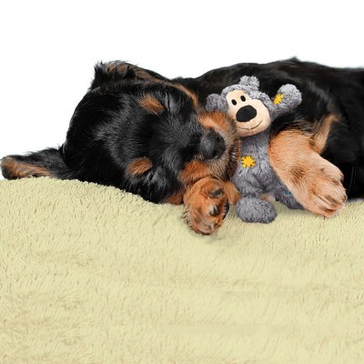 Kong Wildknots Bear Cinza