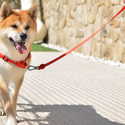 FRONT-HARNESS SOLID RED