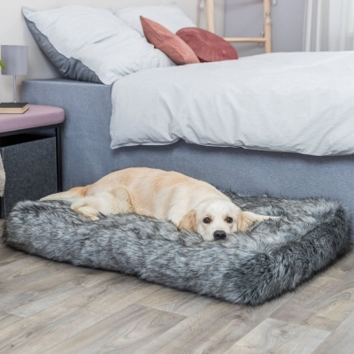 Cama felpuda cinzenta para cão com cão deitado num quarto moderno